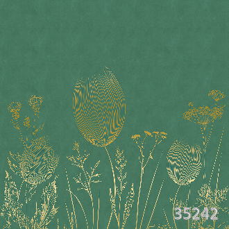 Симфония тюльпанов