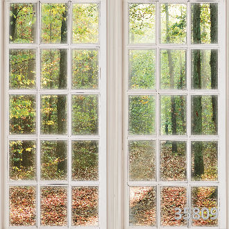 Окно в другой мир